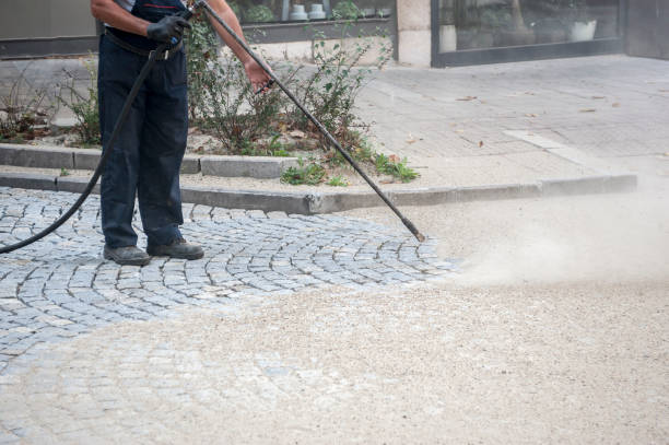 Best Pre-Holiday Cleaning  in Westville, OK
