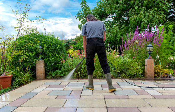 Best Fence Cleaning  in Westville, OK